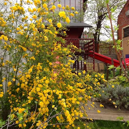 게스트하우스 Zorba 3*