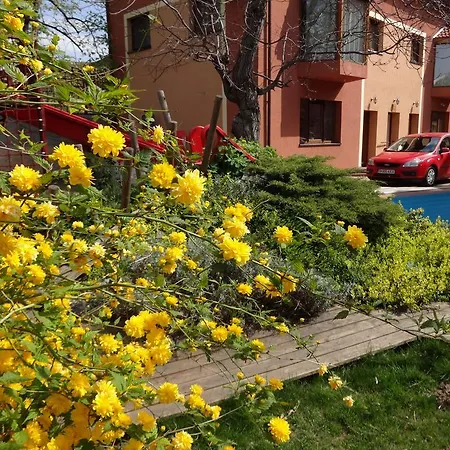 Zorba Guest house 3*