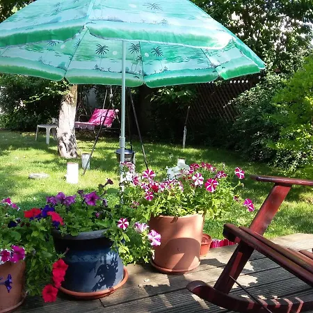 Guest house Zorba Bucharest