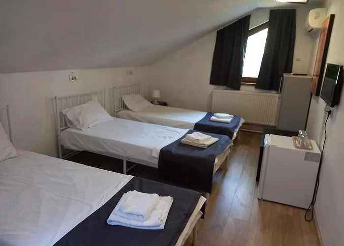 Zorba ゲストハウス ブカレスト